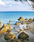 The Reef Playacar