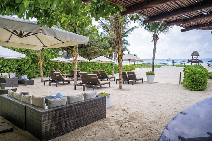 The Reef Playacar