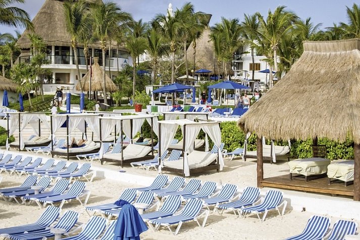 The Reef Playacar