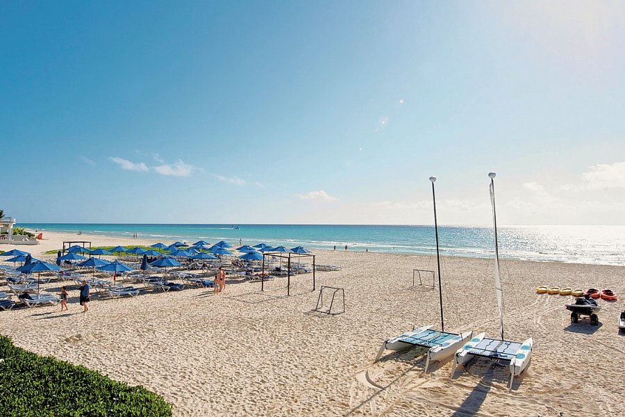 The Reef Playacar