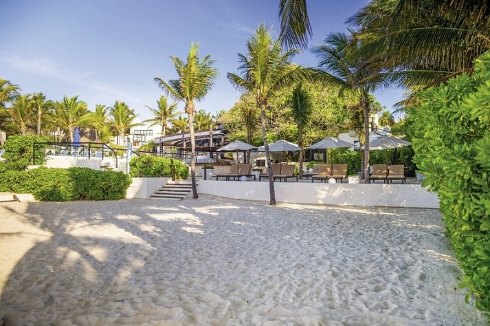 The Reef Playacar
