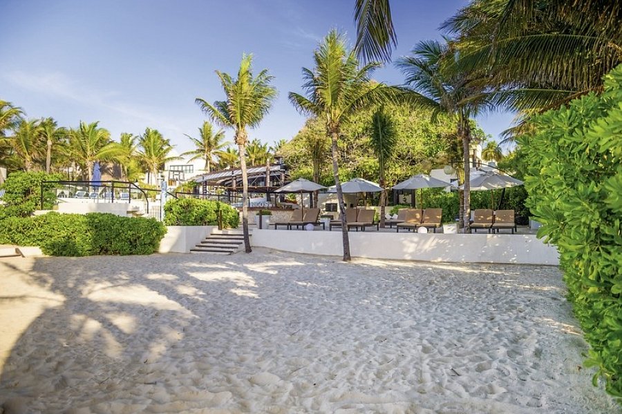 The Reef Playacar