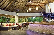 The Reef Playacar