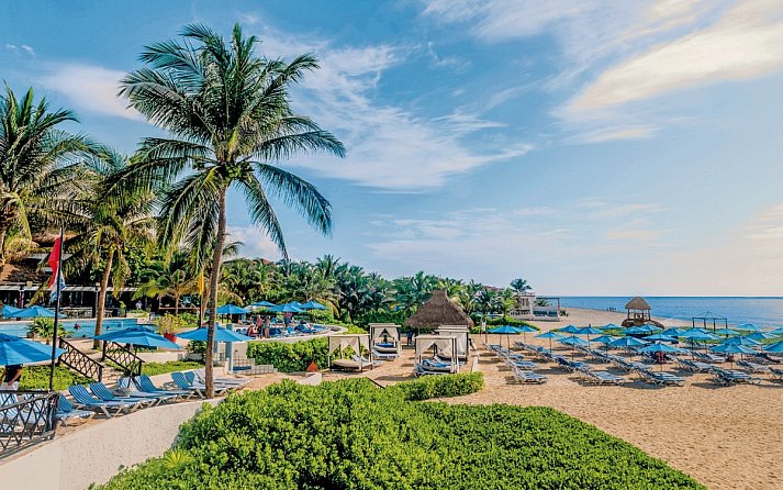 The Reef Playacar