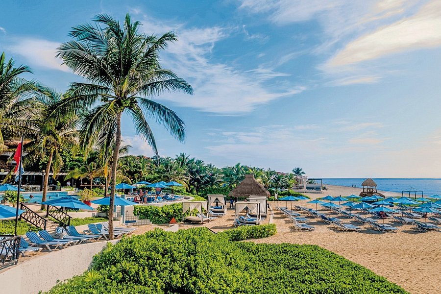 The Reef Playacar