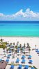 The Reef Playacar