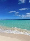 The Reef Playacar