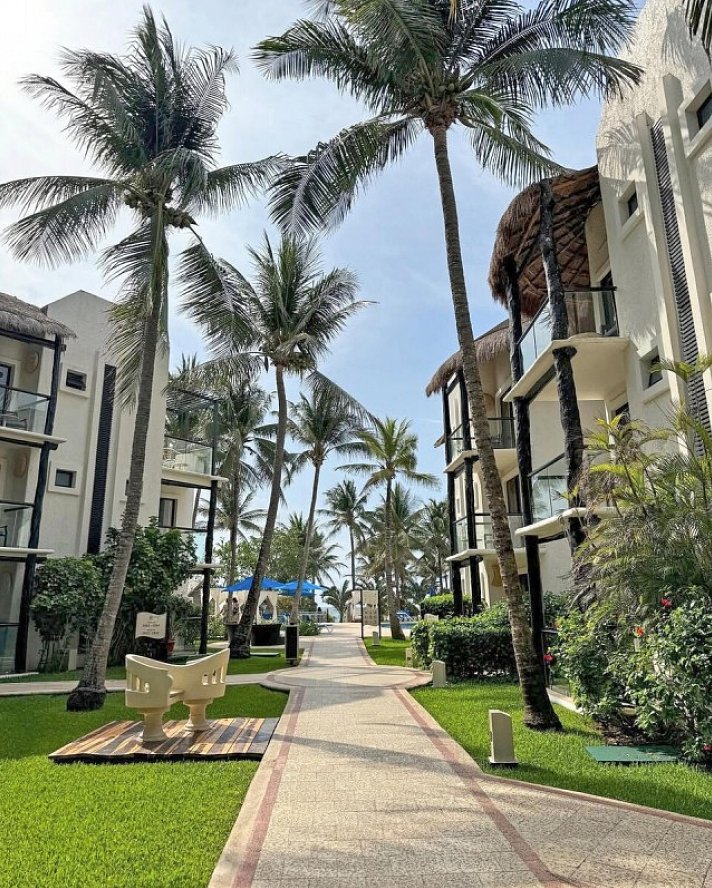 The Reef Playacar