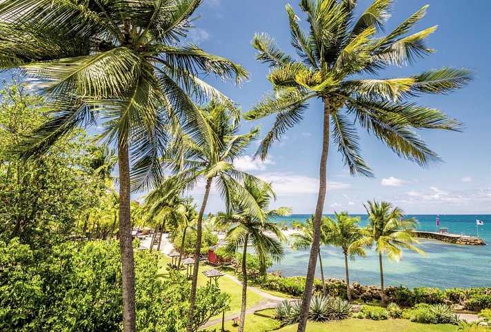 La Créole Beach Hôtel & Spa