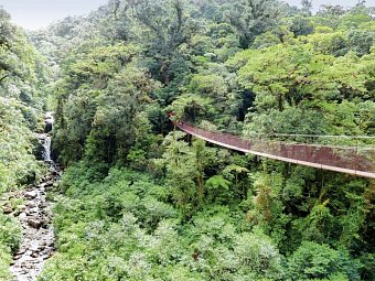 Panama auf eigene Faust - Hängebrücke bei Boquete