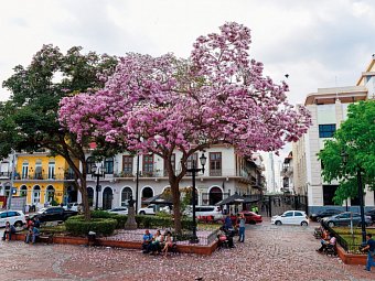 Panama: Stadt, Land, Strand - Casco Viejo