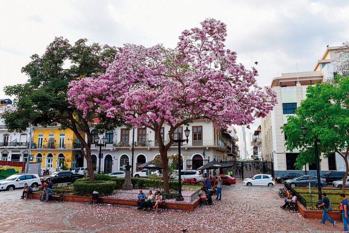 Panama: Stadt, Land, Strand