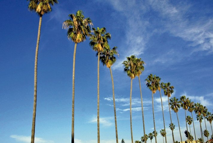 Westküste hautnah - San Diego