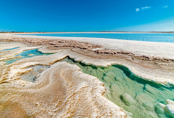 Busrundreise Baja California - Guerrero Negro