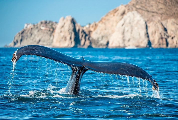 Busrundreise Baja California