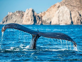 Busrundreise Baja California