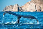 Mietwagenreise Baja California