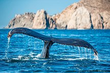 Mietwagenreise Baja California