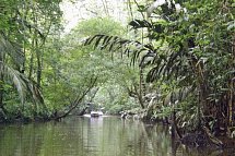 Wildlife Pur von der Karibik zum Pazifik (mit Badeverlängerung) - Kanäle im Tortuguero Nationalpark