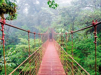 Highlights des Nordens (8 Nächte) - Monteverde Nebelwald