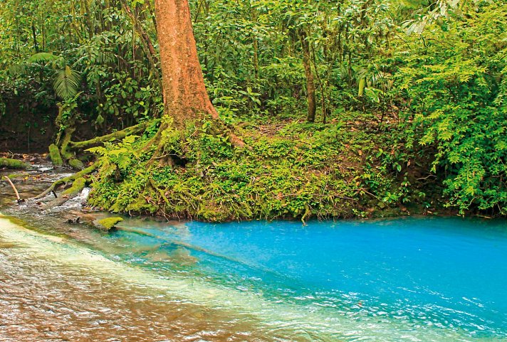 Highlights des Nordens (6 Nächte) - Río Celeste