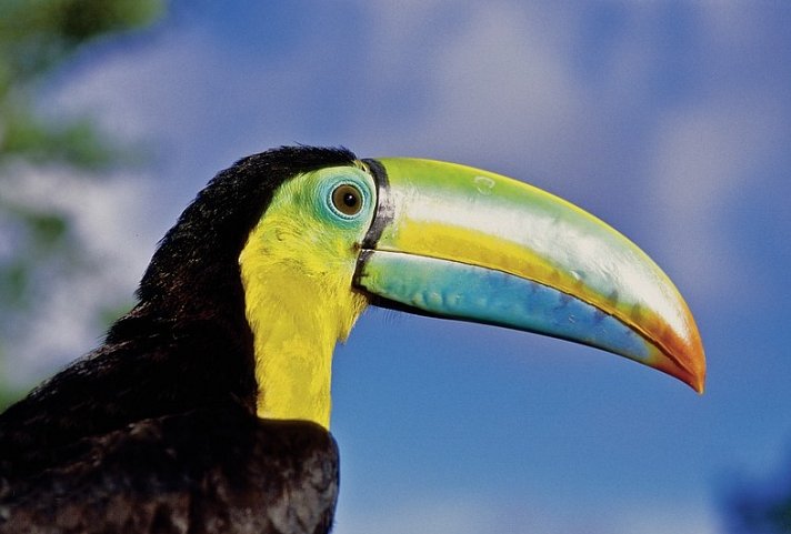 Höhepunkte Costa Ricas (14 Nächte)