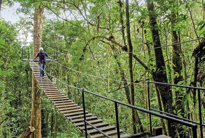 Costa Rica - Auf der Suche nach den Faultieren - Hängebrücke in Monteverde