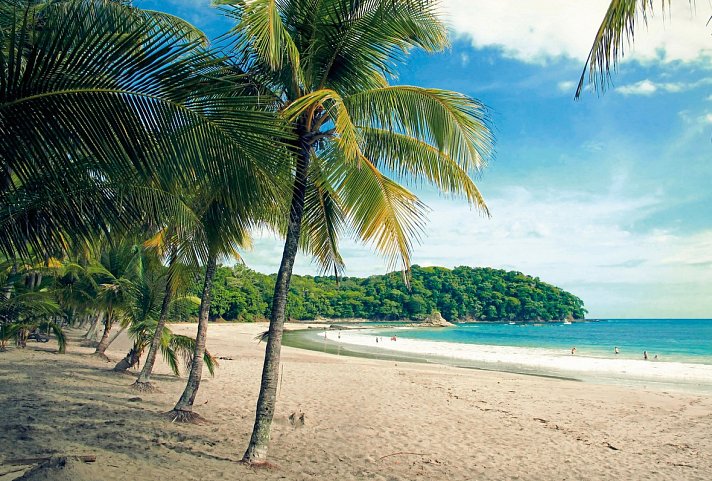 Costa Rica - Auf der Suche nach den Faultieren - Playa Carillo