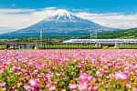 Japans Insel-Quartett (nur Landprogramm)