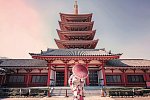 Japans Insel-Quartett (nur Landprogramm)