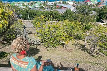 La Plantation