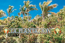 La Plantation