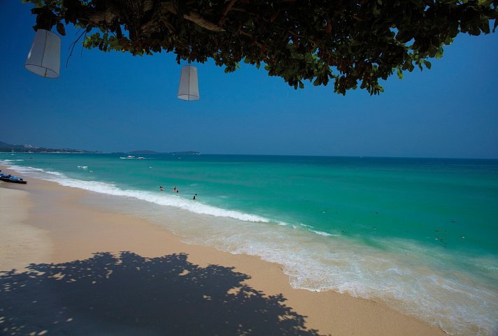 Chaweng Cove Beach Resort