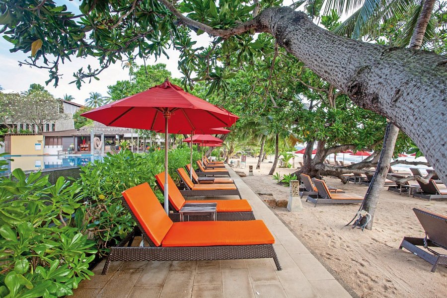 New Star Beach Resort
