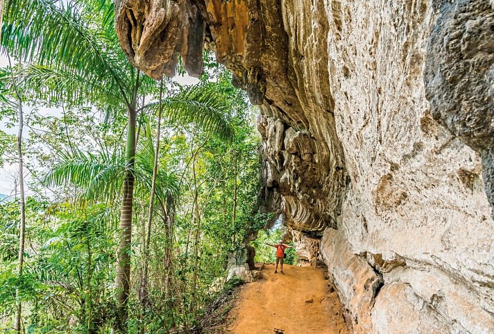 Große Kuba Rundreise - Nationalpark Topes de Collantes