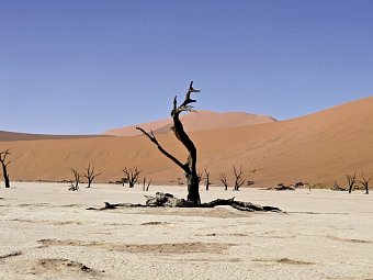 Namibia Classic für Selbstfahrer