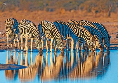 Namibia Classic Superior Windhoek