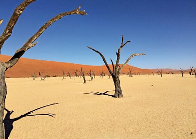 Traumreise Namibia Windhoek