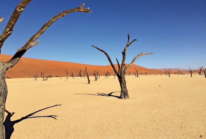 Traumreise Namibia - Dead Vlei