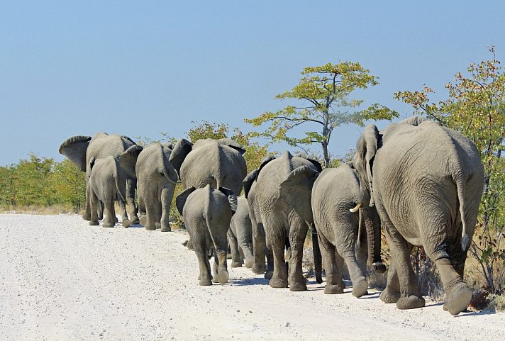 Traumreise Namibia