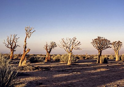 Traumreise Namibia Windhoek