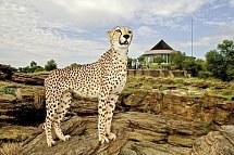 Naankuse Lodge