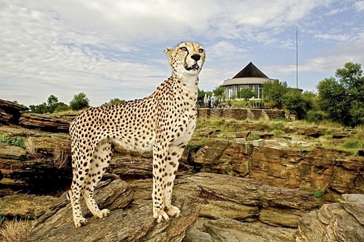 Naankuse Lodge