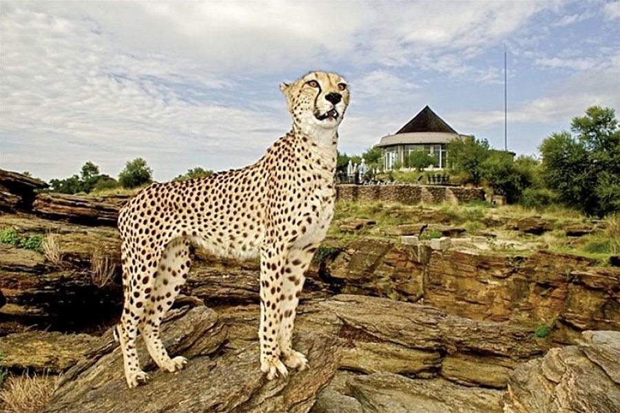 Naankuse Lodge