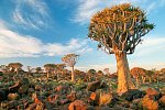 Best of Namibia (Autoreise)