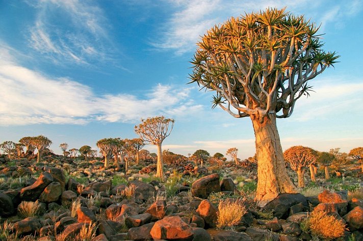 Best of Namibia (Autoreise)