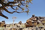 Best of Namibia (Autoreise)