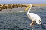 Best of Namibia (Autoreise)