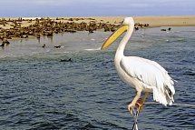 Best of Namibia (Autoreise)