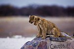 Best of Namibia (Autoreise)